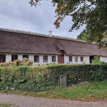 Ragnhilds Gard, Hostel Nyord Exterior foto